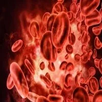 ADVANCED ANEMIA PROFILE